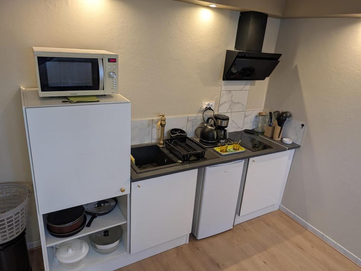 Appartement Verdoyant Au Bord Du Lac Leman Entre Evian Et Thonon Dans Une Villa Publier Exterior foto